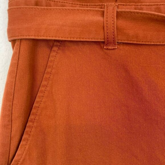 Banana Republic Barrel pants w/ tie in pumpkin spice - Picture 5 of 11
